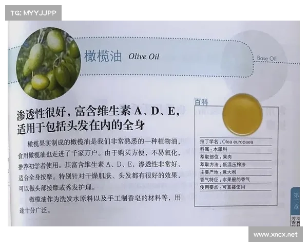 全杀法理论与实践探索：从基础概念到高级技巧的全面解析